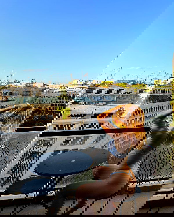 carolinezalog carolinezalog archive image