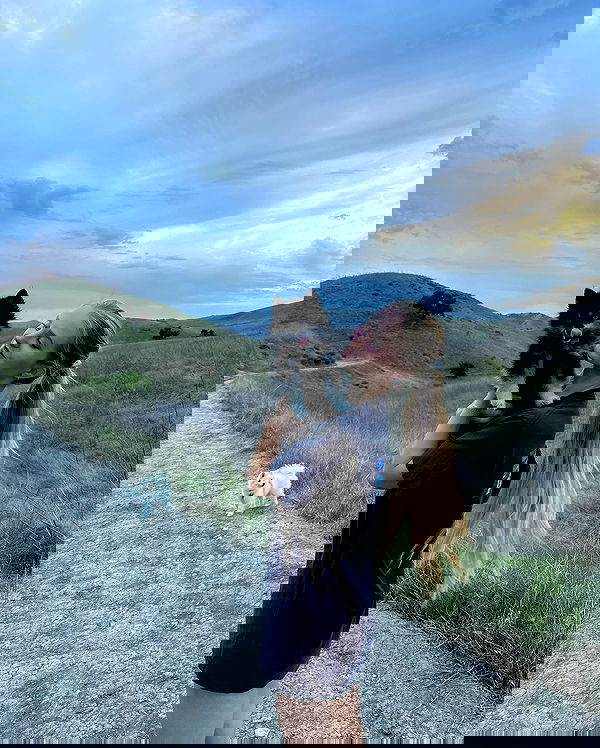 carolinezalog carolinezalog archive image