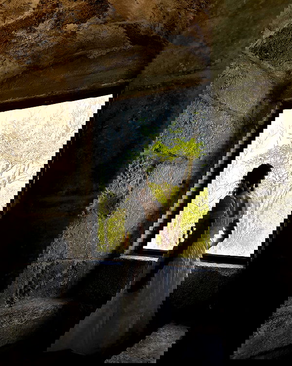 carolinezalog carolinezalog archive image