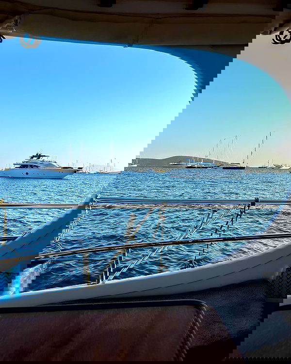 carolinezalog carolinezalog archive image