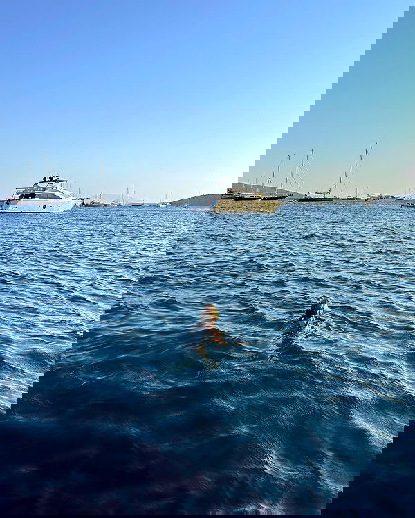 carolinezalog carolinezalog archive image