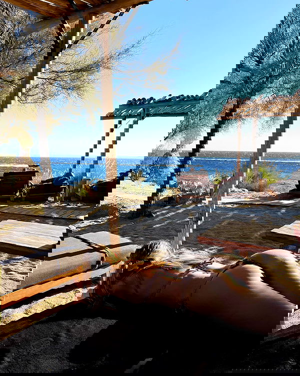 carolinezalog carolinezalog archive image