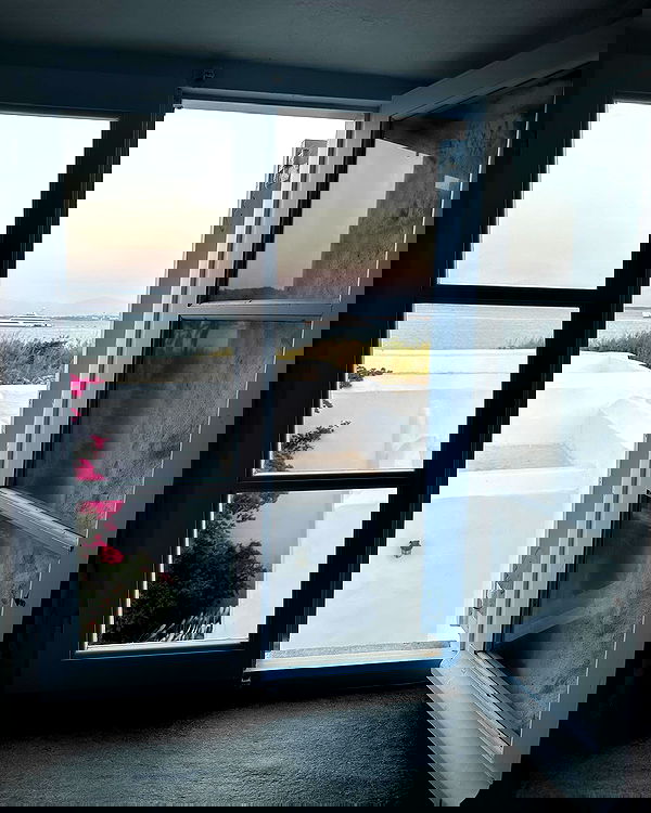 carolinezalog carolinezalog archive image