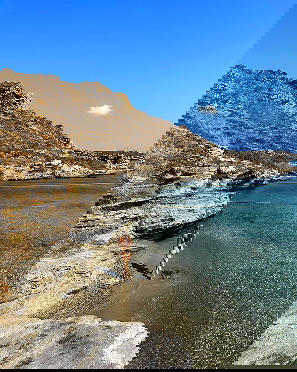 carolinezalog carolinezalog archive image