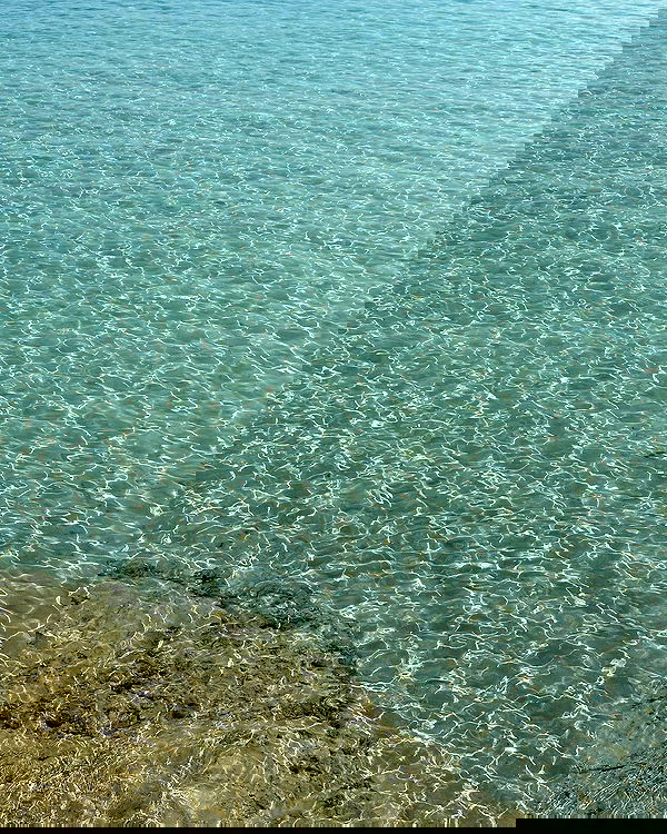 carolinezalog carolinezalog archive image