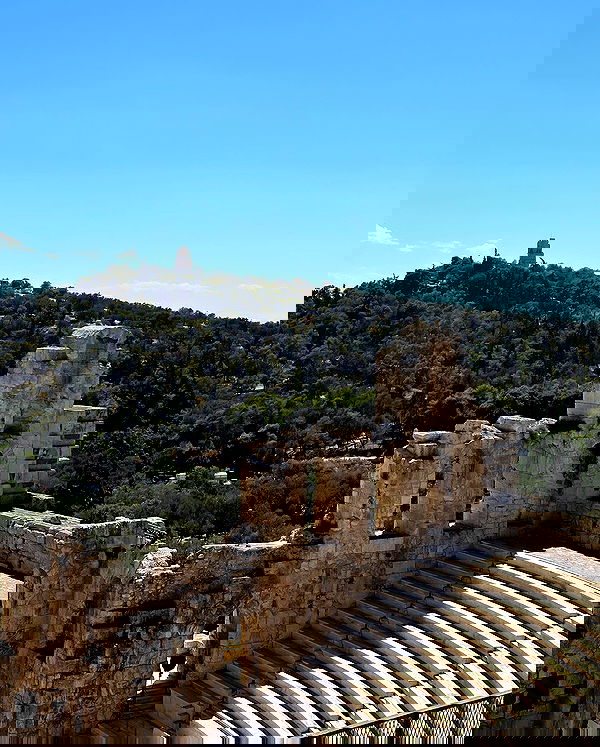 carolinezalog carolinezalog archive image