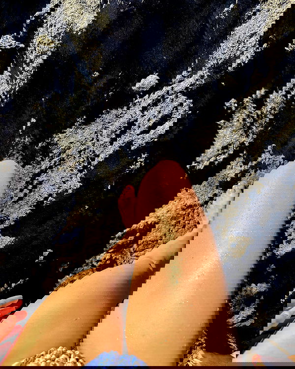 carolinezalog carolinezalog archive image