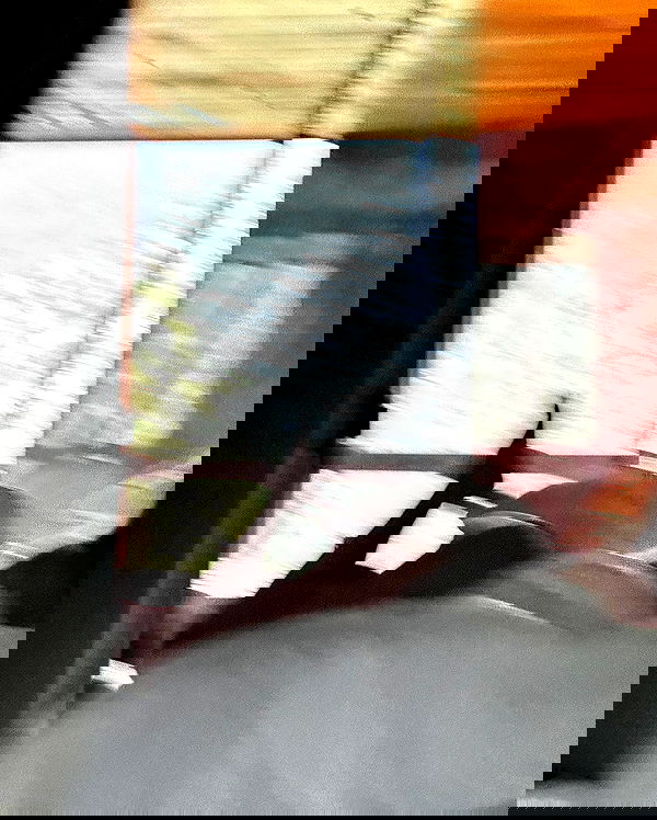 carolinezalog carolinezalog archive image