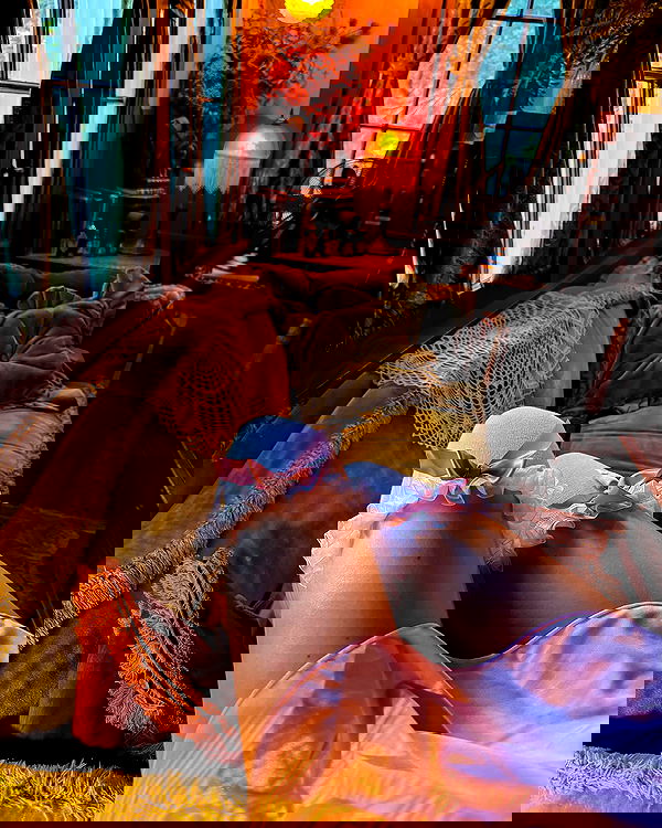 carolinezalog carolinezalog archive image