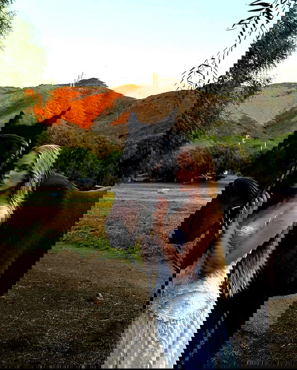 carolinezalog carolinezalog archive image