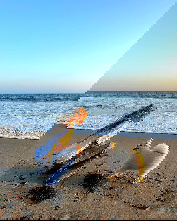 carolinezalog carolinezalog archive image