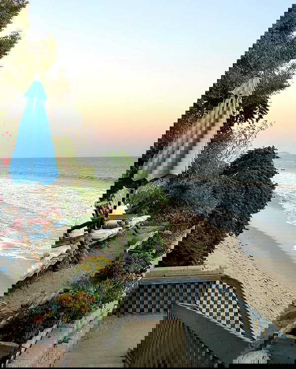 carolinezalog carolinezalog archive image