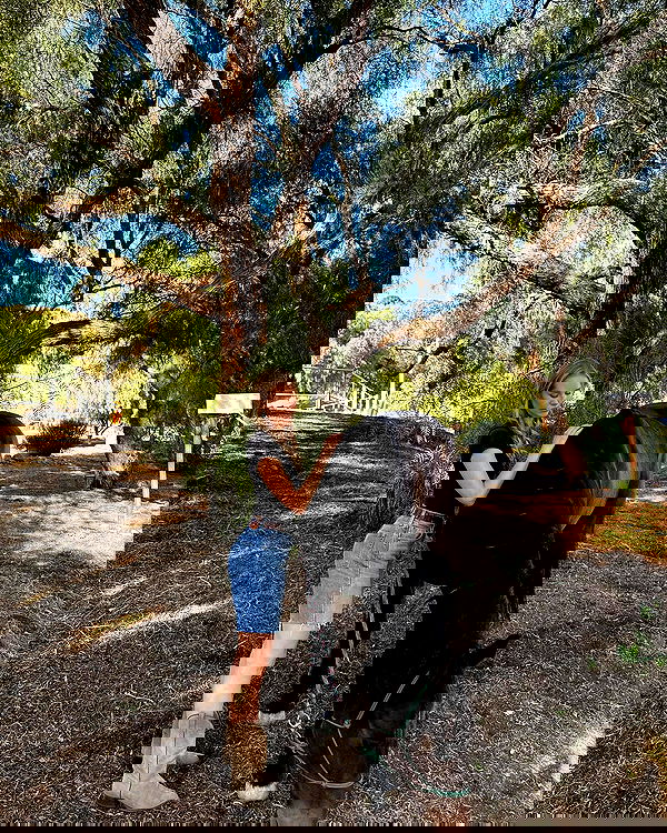 carolinezalog carolinezalog archive image