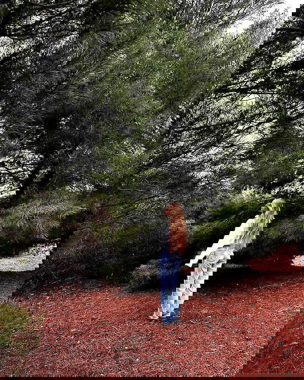 carolinezalog carolinezalog archive image