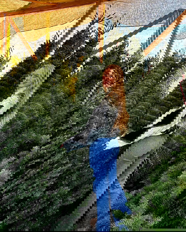 carolinezalog carolinezalog archive image