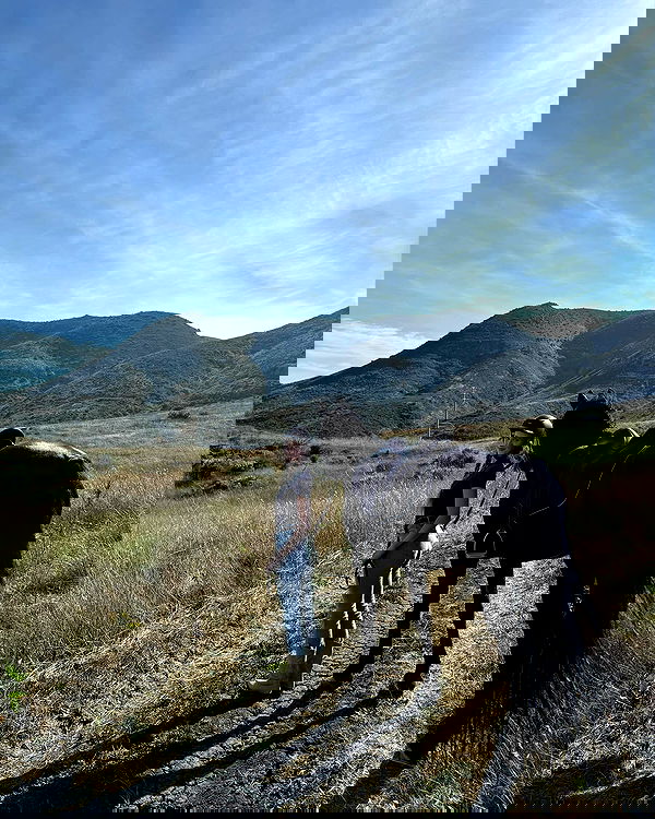 carolinezalog carolinezalog archive image