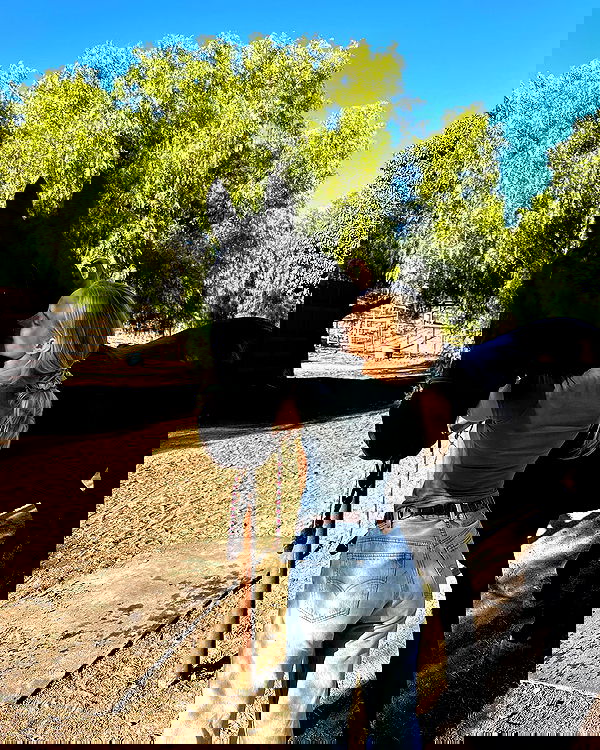 carolinezalog carolinezalog archive image