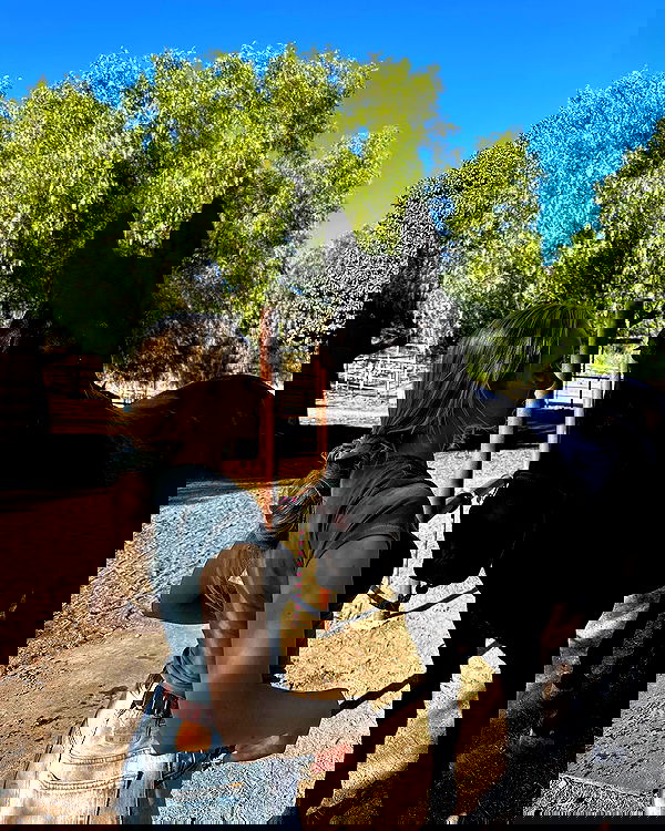 carolinezalog carolinezalog archive image