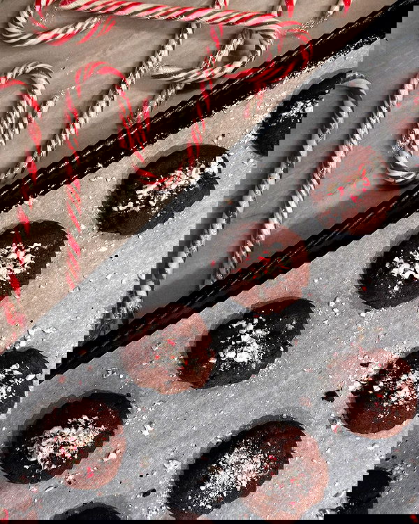 carolinezalog carolinezalog archive image