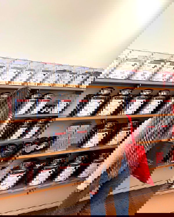 carolinezalog carolinezalog archive image