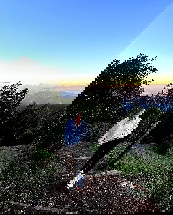 carolinezalog carolinezalog archive image