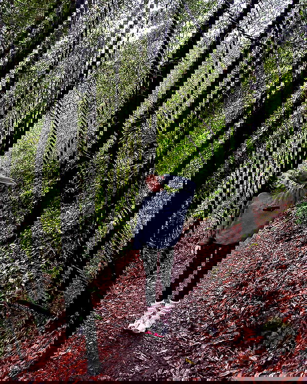 carolinezalog carolinezalog archive image