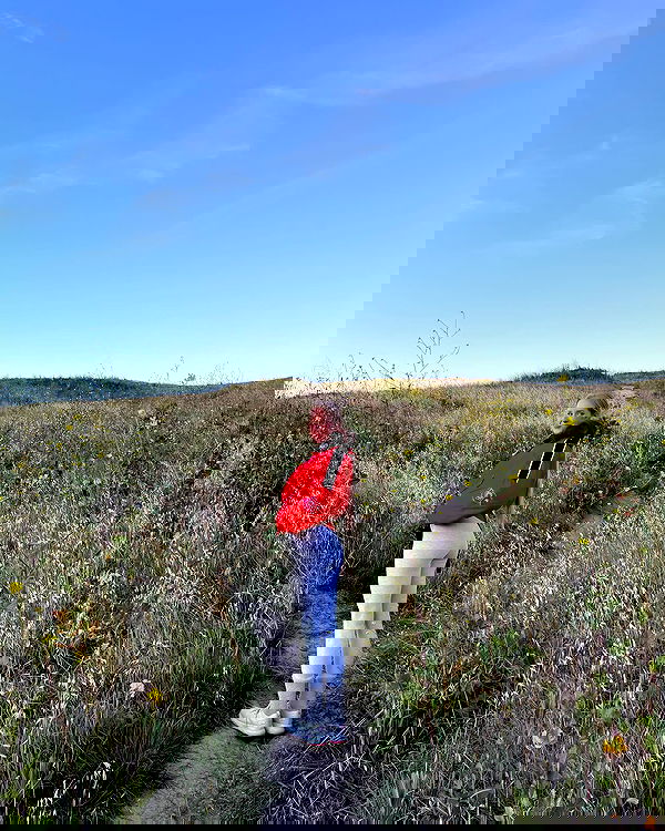 carolinezalog carolinezalog archive image