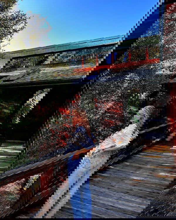 carolinezalog carolinezalog archive image