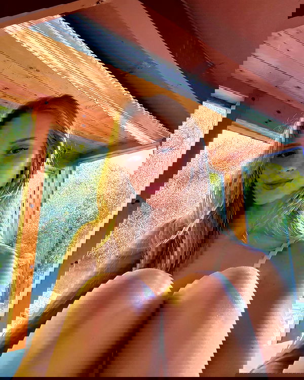 carolinezalog carolinezalog archive image