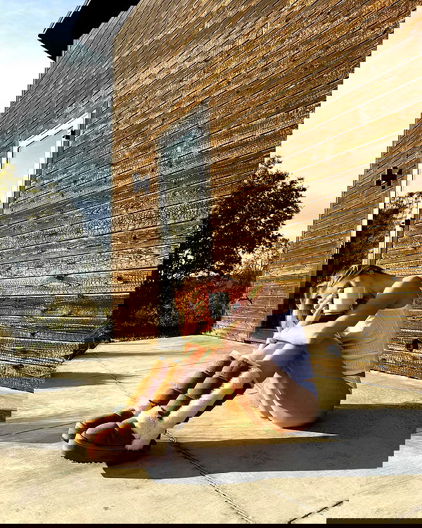 carolinezalog carolinezalog archive image