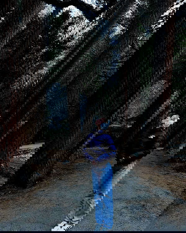 carolinezalog carolinezalog archive image