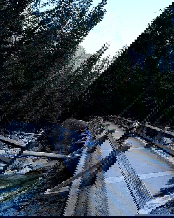 carolinezalog carolinezalog archive image