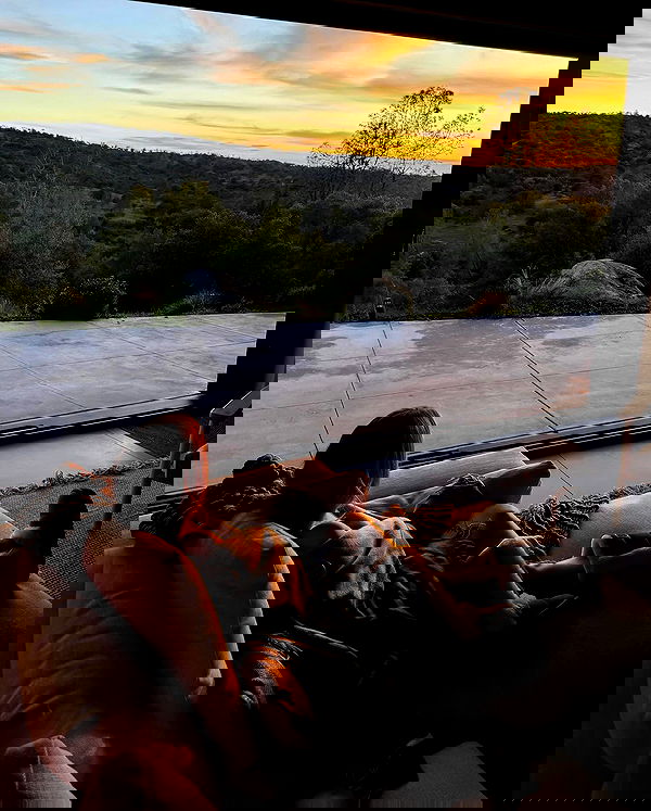 carolinezalog carolinezalog archive image