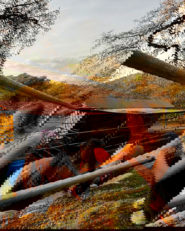 carolinezalog carolinezalog archive image