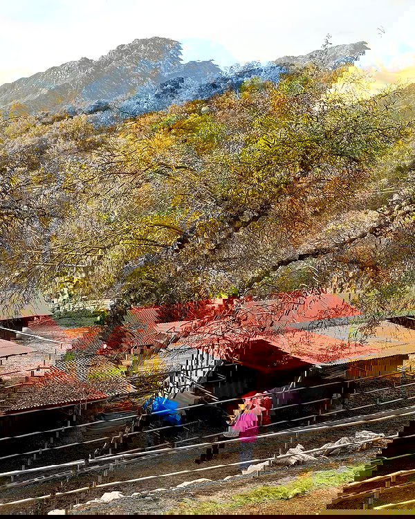 carolinezalog carolinezalog archive image