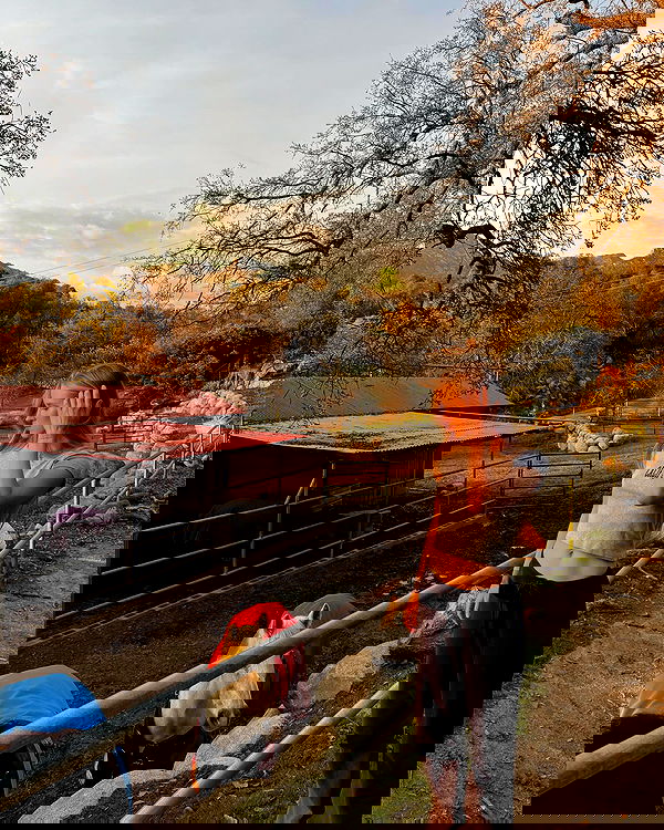 carolinezalog carolinezalog archive image