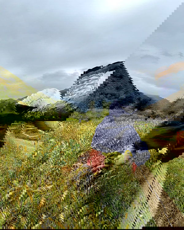 carolinezalog carolinezalog archive image