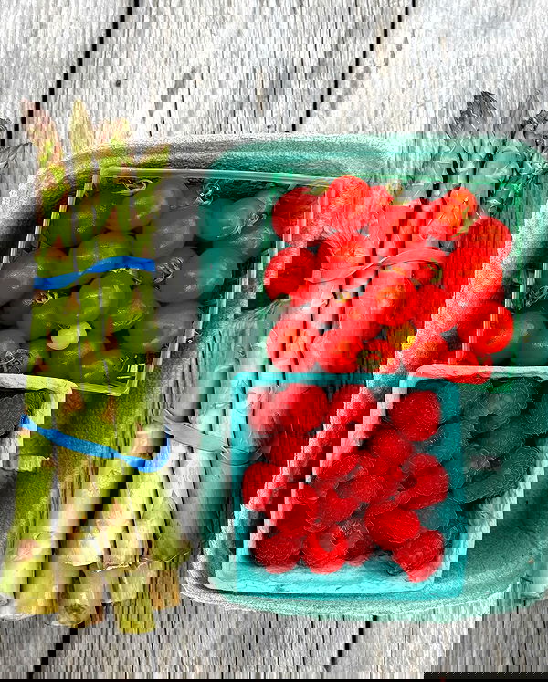 carolinezalog carolinezalog archive image