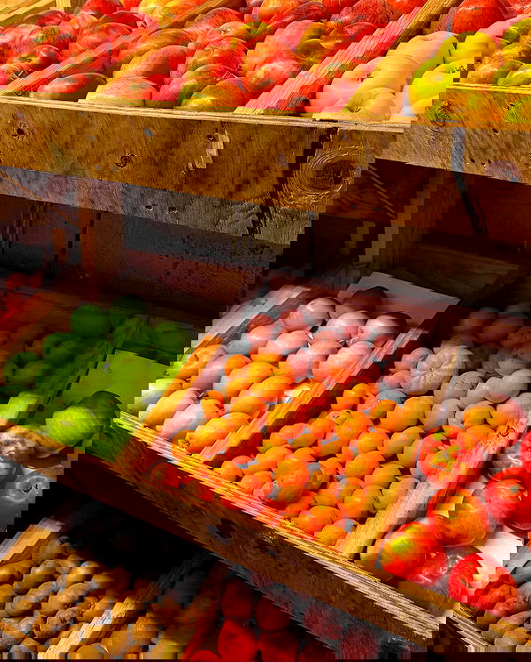 carolinezalog carolinezalog archive image