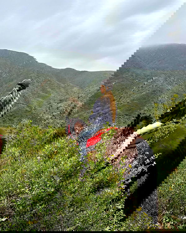 carolinezalog carolinezalog archive image