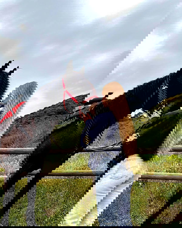 carolinezalog carolinezalog archive image