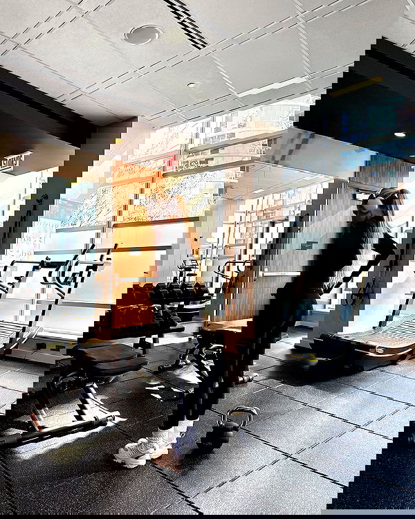 carolinezalog carolinezalog archive image