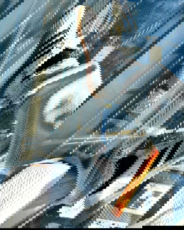 carolinezalog carolinezalog archive image