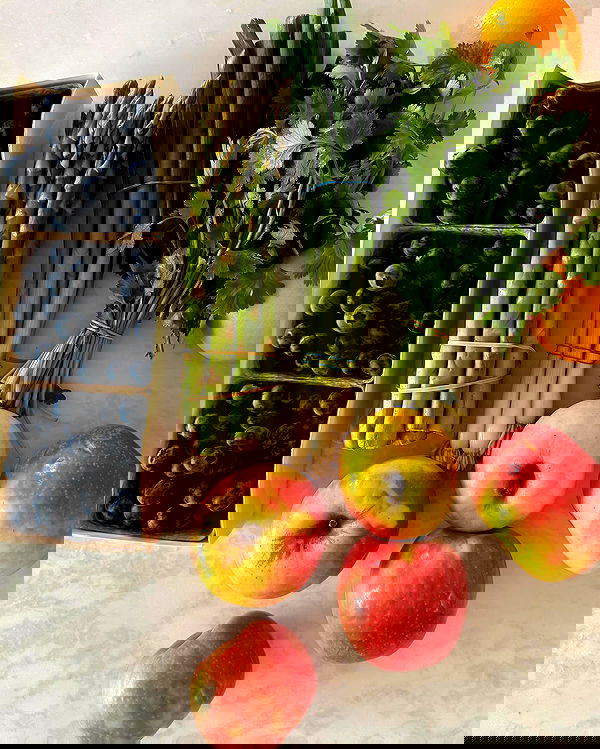 carolinezalog carolinezalog archive image