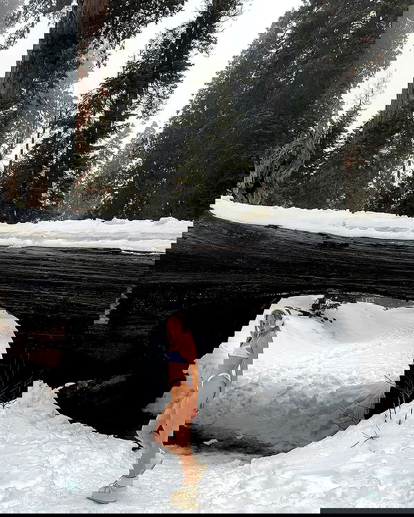 carolinezalog carolinezalog archive image