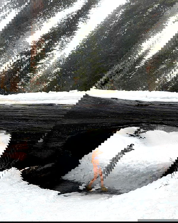 carolinezalog carolinezalog archive image