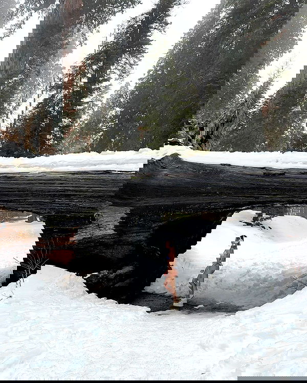 carolinezalog carolinezalog archive image