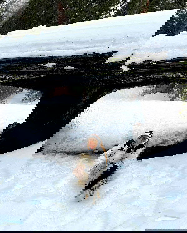 carolinezalog carolinezalog archive image