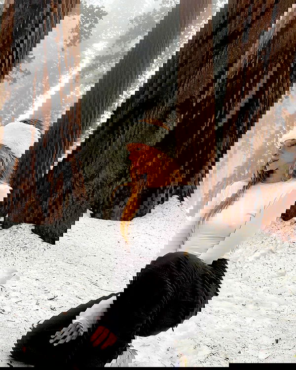 carolinezalog carolinezalog archive image