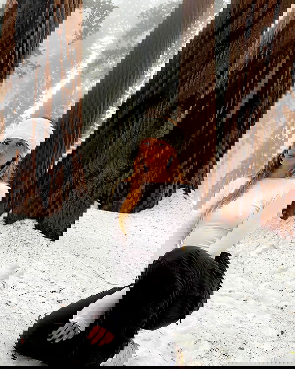 carolinezalog carolinezalog archive image